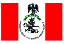 NDLEA Intercepts Drugs In Lagos Destroys Hectares of Cannabis Farm in Ekiti