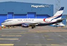 Bird Strike Forces Air Peace Flight Back to Abuja Ramp