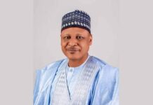 Nigeria Remains Stable, Functional, Says Minister Idris